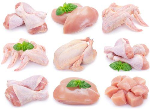 Halal Certified Frozen Chicken (Bulk Supply)